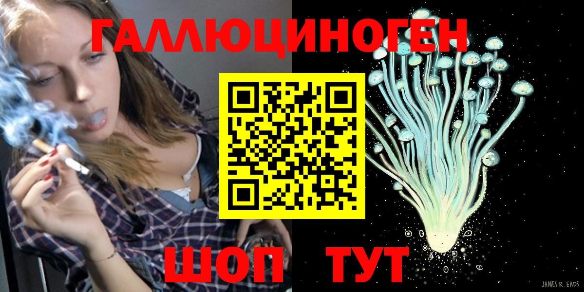 Псилоцибиновые грибы Psilocybe  Вход с VPN  Гай  Галлюциногенные грибы мухоморы 