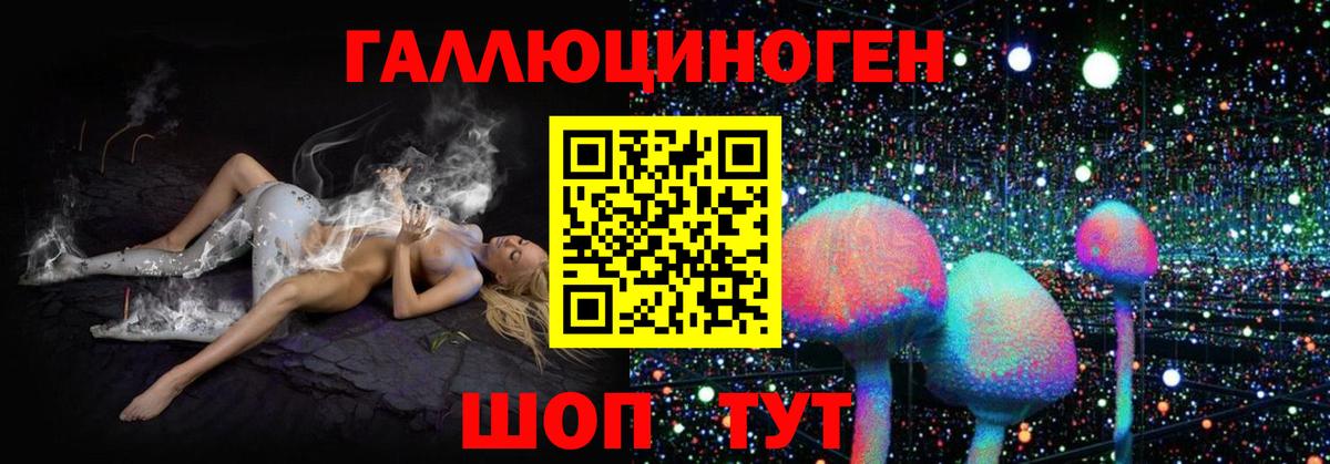 Псилоцибиновые грибы Psilocybine cubensis Гай